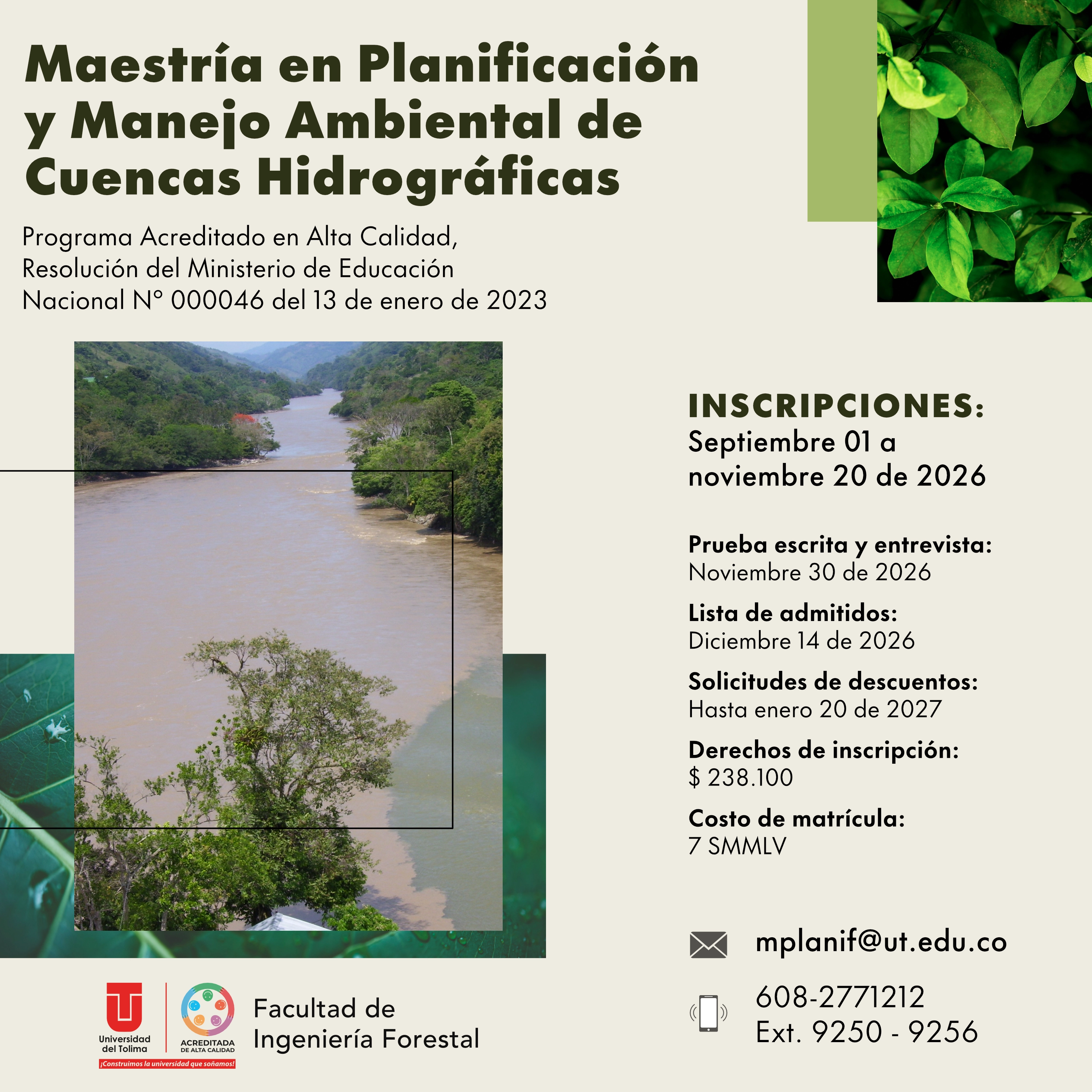 Maestría